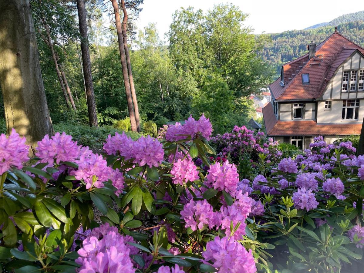 Villa Sonnenburg Bad Schandau Zewnętrze zdjęcie